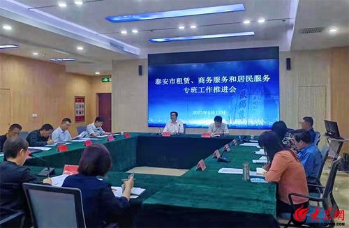 泰安市租賃、商務服務和居民服務專班工作推進會召開 聚焦軟件開發與應用