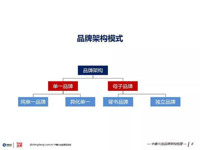 策世品牌觀 七日微光，照亮品牌管理之路