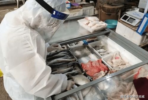 曝光 任城區公布違反疫情防控進口冷鏈食品與挖掘裝載機事件